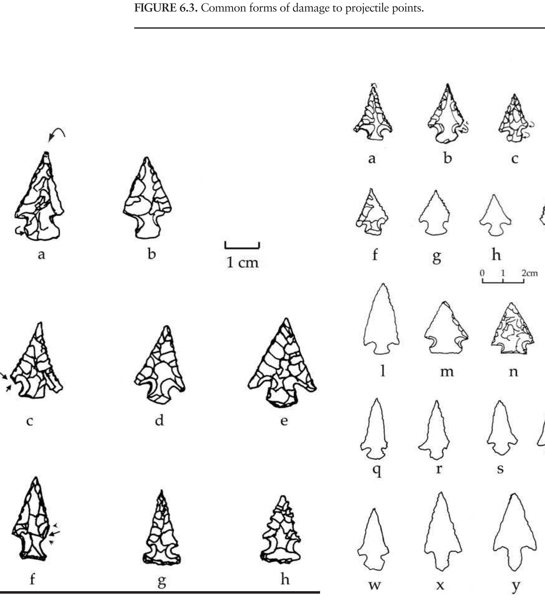 FIGURE 6.4. Small projectile points: a, 423181801 showing impact flake at tip; b, 423181802; c, 423182s03 Agee point with damage to barb; d, 423182s02 Agee point; e, 423182s01 Agee point; f, 423181801; g, 423181802 Reed point; h, 423181503. 