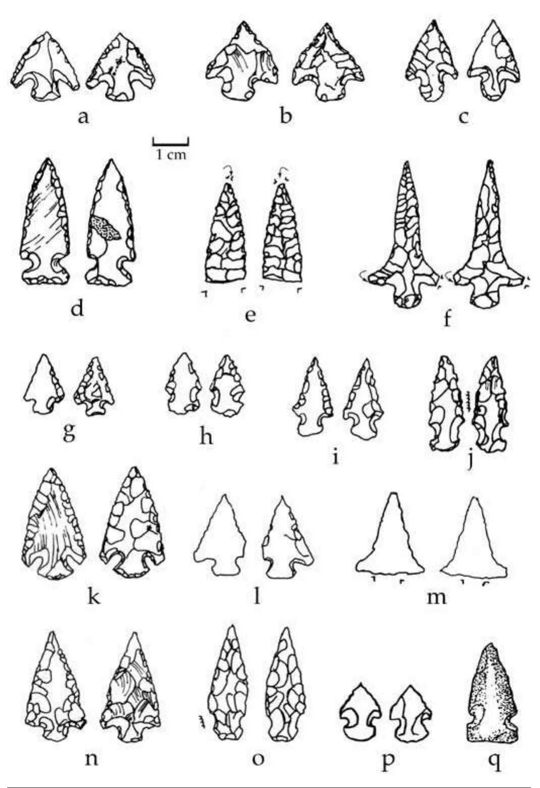 FIGURE 6.12. Small projectile points (448651): a-b, 36-37; c, s39 Alba; d, s40 Reed; e, s41; f, s43 Alba; g—h, s44-s45; i, s48 Massard; j, $46; k, s47 Coryell; 1, s45 Agee; m, s54; n, s50 Hayes; 0, s51; p, s53 Keota; q, s52 ground Washita point. 