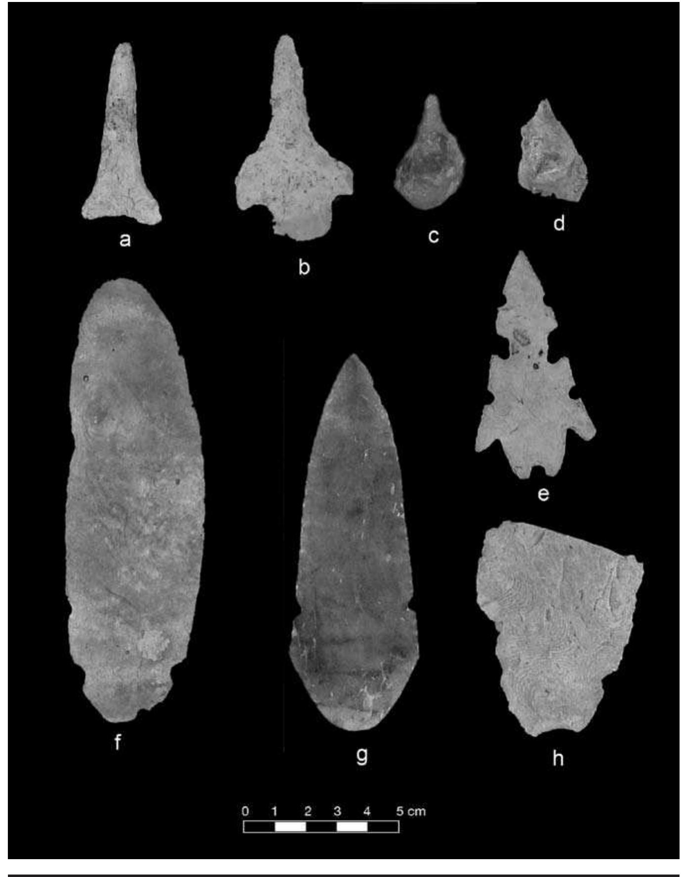 FIGURE 6.14. Large bifaces and drills: a, expanding stemmed drill (423193s01); b, barbed drill (423193s02); c, drill made on a pebble (448655); d, quartz graver (423191804); e, eccentric point (448653); f, h, ovoid bifaces of Kay County chert (423178, 417939); g, novaculite biface (423179). 