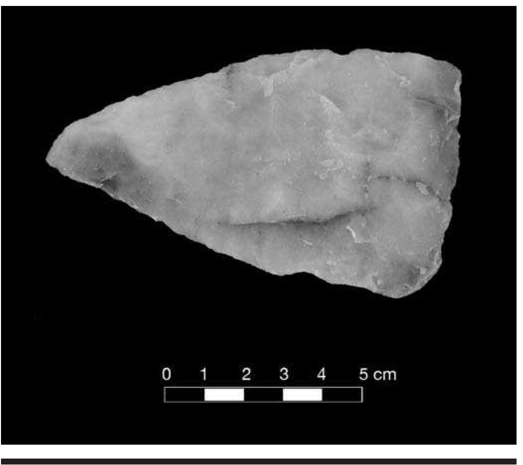 FIGURE 6.15. Large triangular preform or celt-form biface (423170s01). 