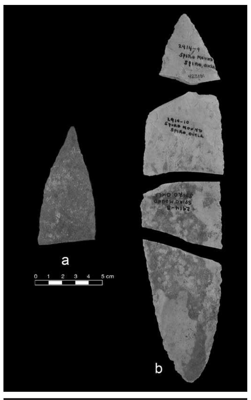 FIGURE 6.17. General sword-form bifaces: a, 423191; b, 423174. 
