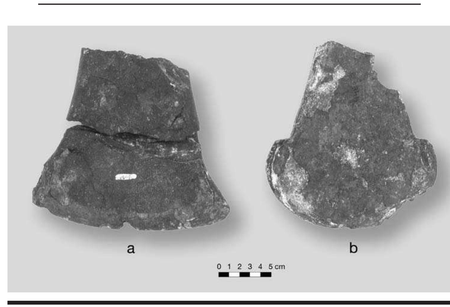 FIGURE 6.22. Cannel coal spatulate celts: a, expanding bit (448690); b, shouldered (448675). 