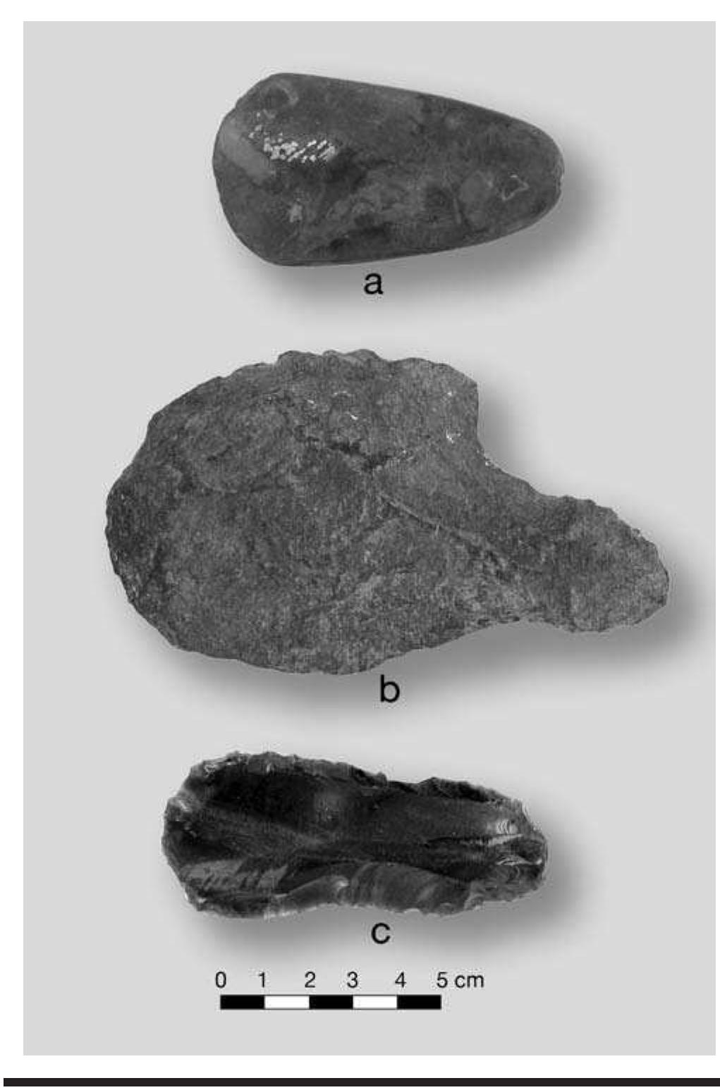 FIGURE 6.25. Other stone tools: a, celt (423200); b, shouldered spade (448656); c, obsidian scraper originating from the Pachuca source in central Mexico (378273). 