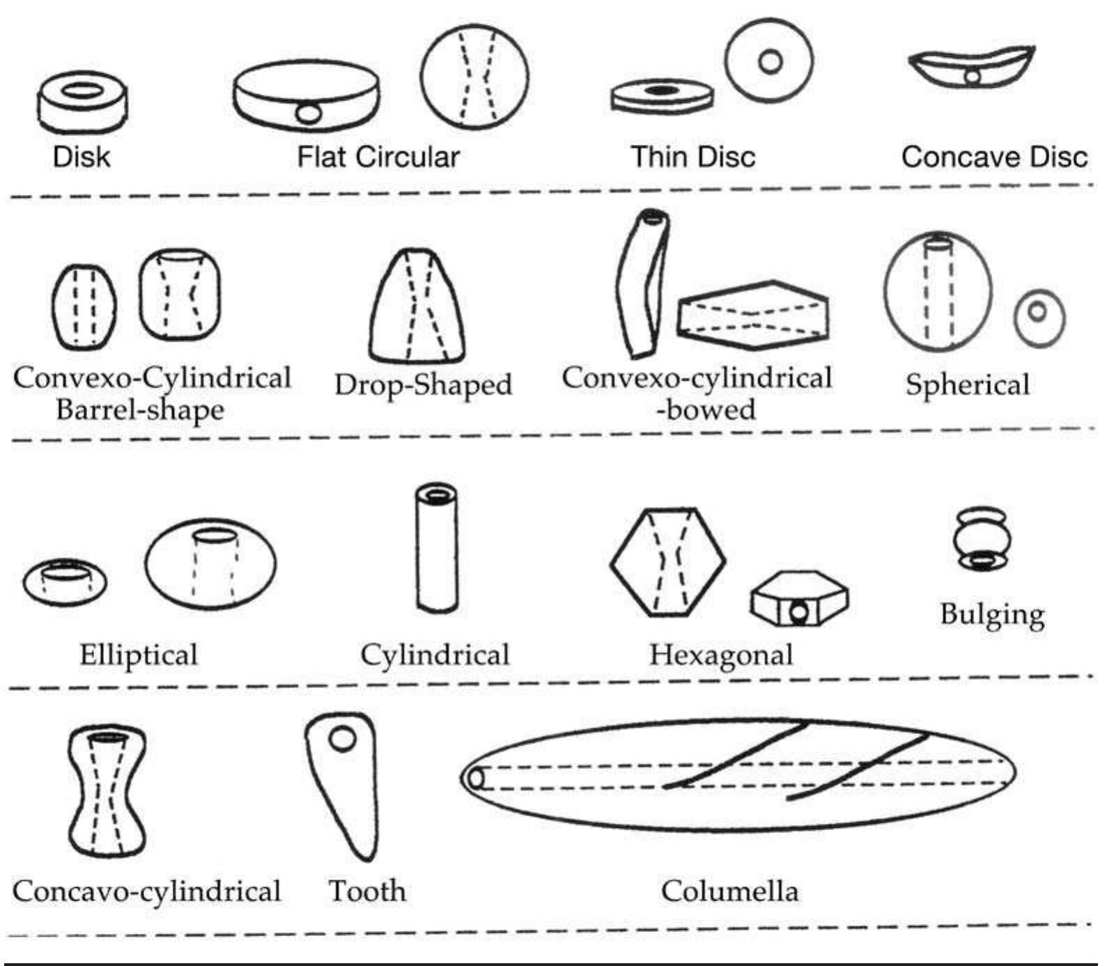 FIGURE 7.9. Manufactured shell bead types in the National Museum of Natural History collection (after Brown, 1976:345). 