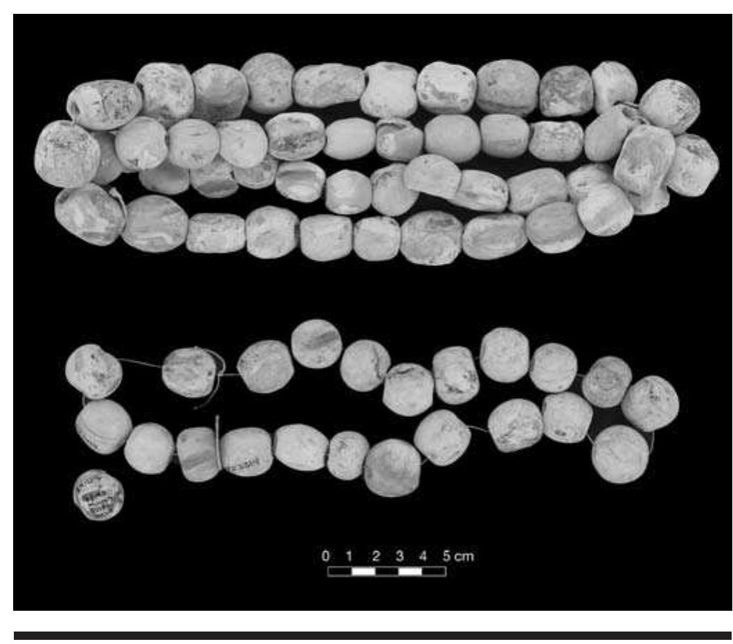 FIGURE 7.11. Spherical columella beads (423314). 