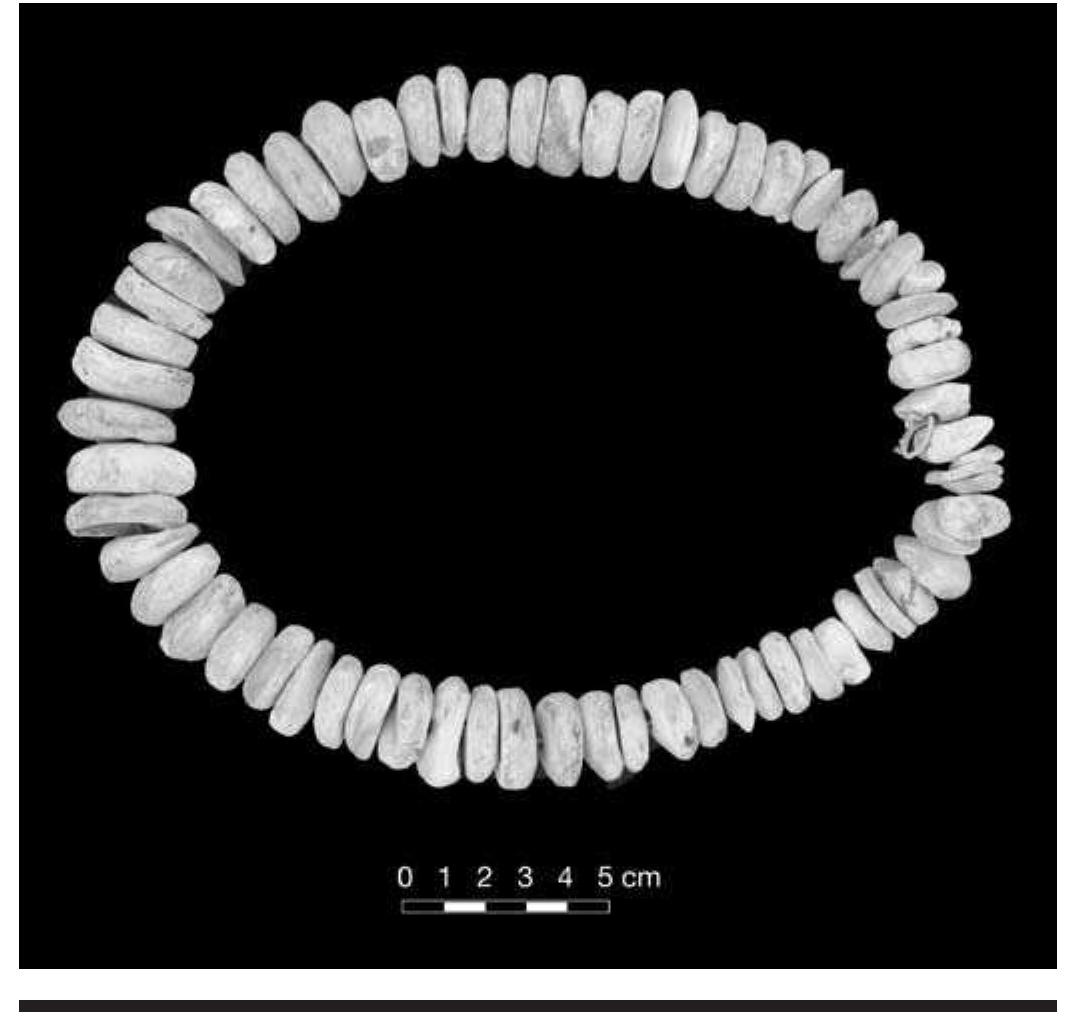 FIGURE 7.10. Concave disc beads (423313). 