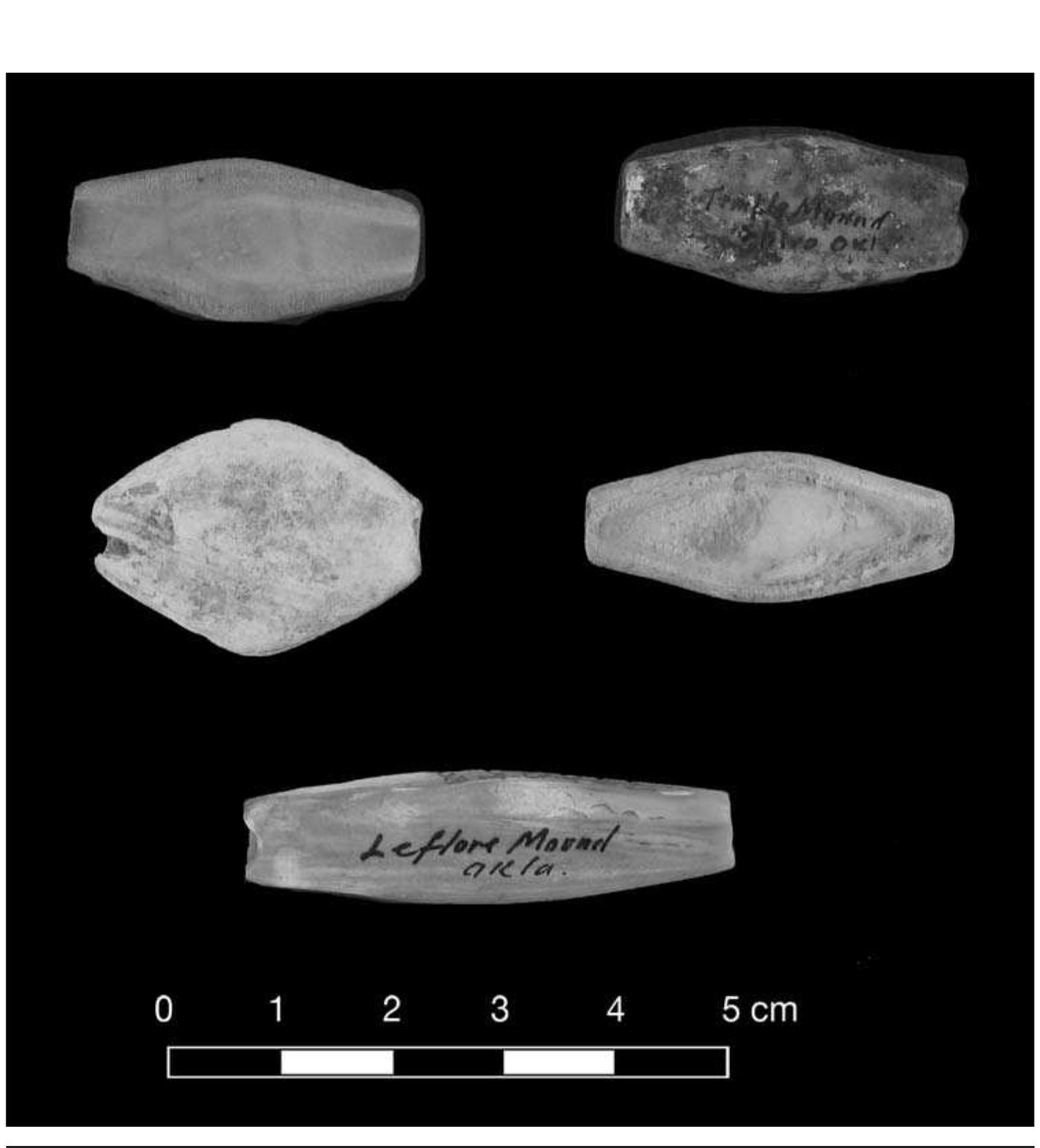 FIGURE 7.15. Hexagonal and asymmetrical convex beads (378253).  FIGURE 7.14. Bulging beads (423327). 