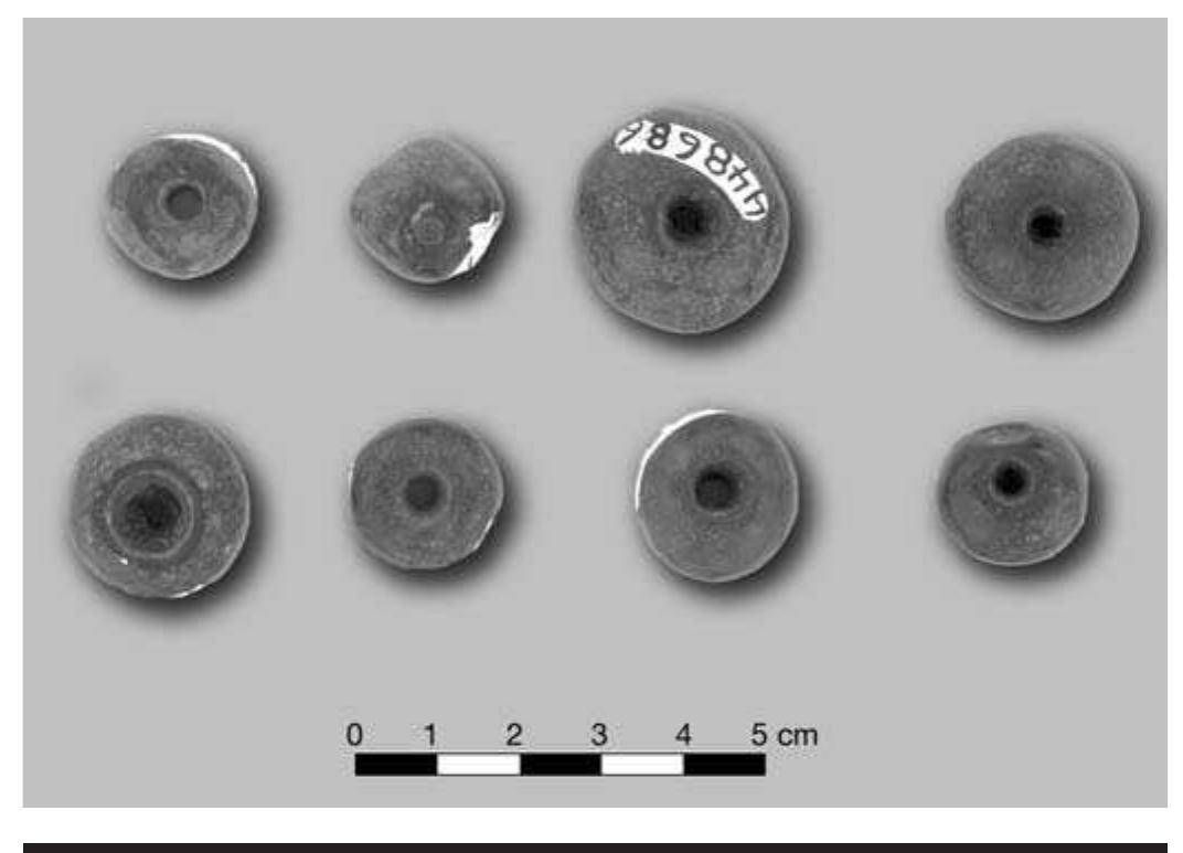 FIGURE 7.19. Phosphate beads (448686). 