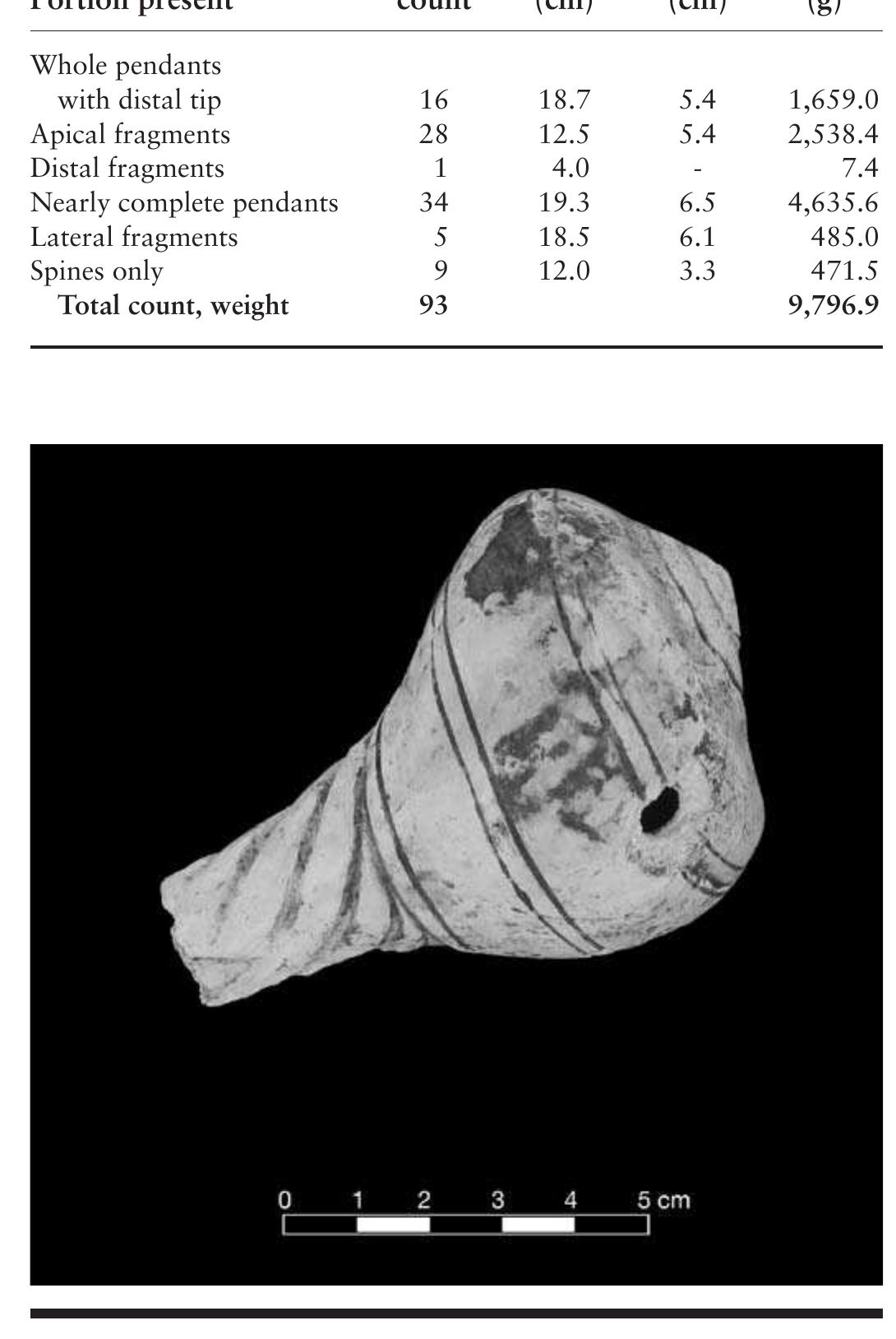 FIGURE 7.23. Sculpted columella pendant (448780s01).  TABLE 7.8. Frequency and characteristics of columella pendants. Dash (-) indicates data are nonexistent or not available. 