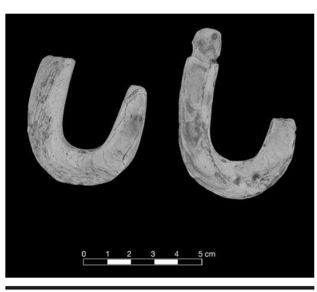 FIGURE 7.27. Shell hooks (447770). 