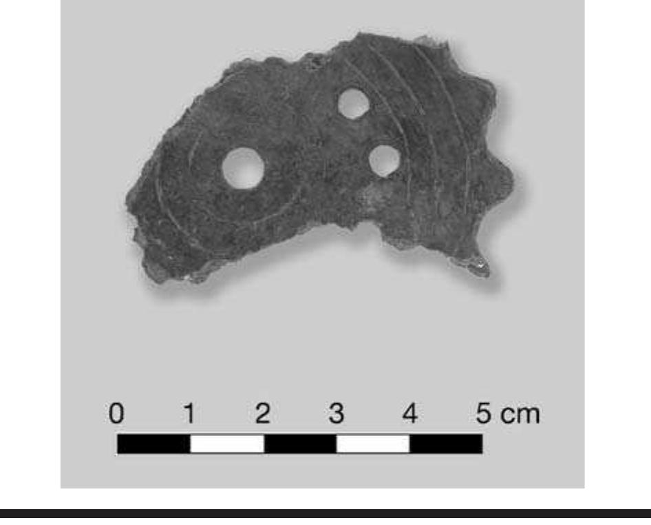 FIGURE 7.38. Bone gorget (423343). 