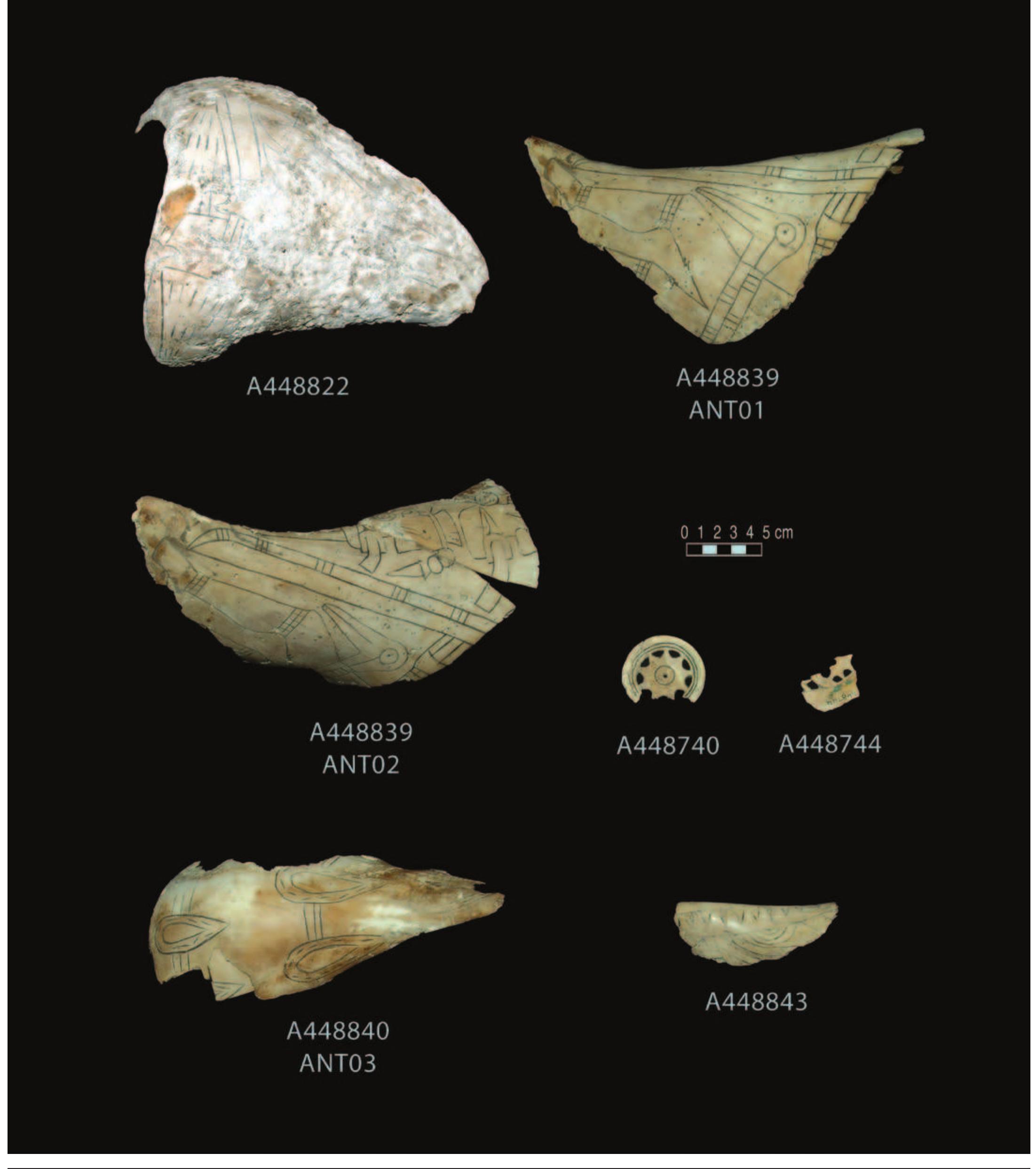 LATE 2. Row 1: 448822, Craig C cup with forked pole theme*; 448839, Craig C cup with human figure, disembodied heads, and bow, late: riew. Row 2: 448839, dorsal view; 448740, type 1 gorget with sun circle; 448744, type 1 unclassified gorget. Row 3: 448840, Craig C cup wi year-shape motif and bands; 448843, Braden A cup lip fragment with serrated border*. 
