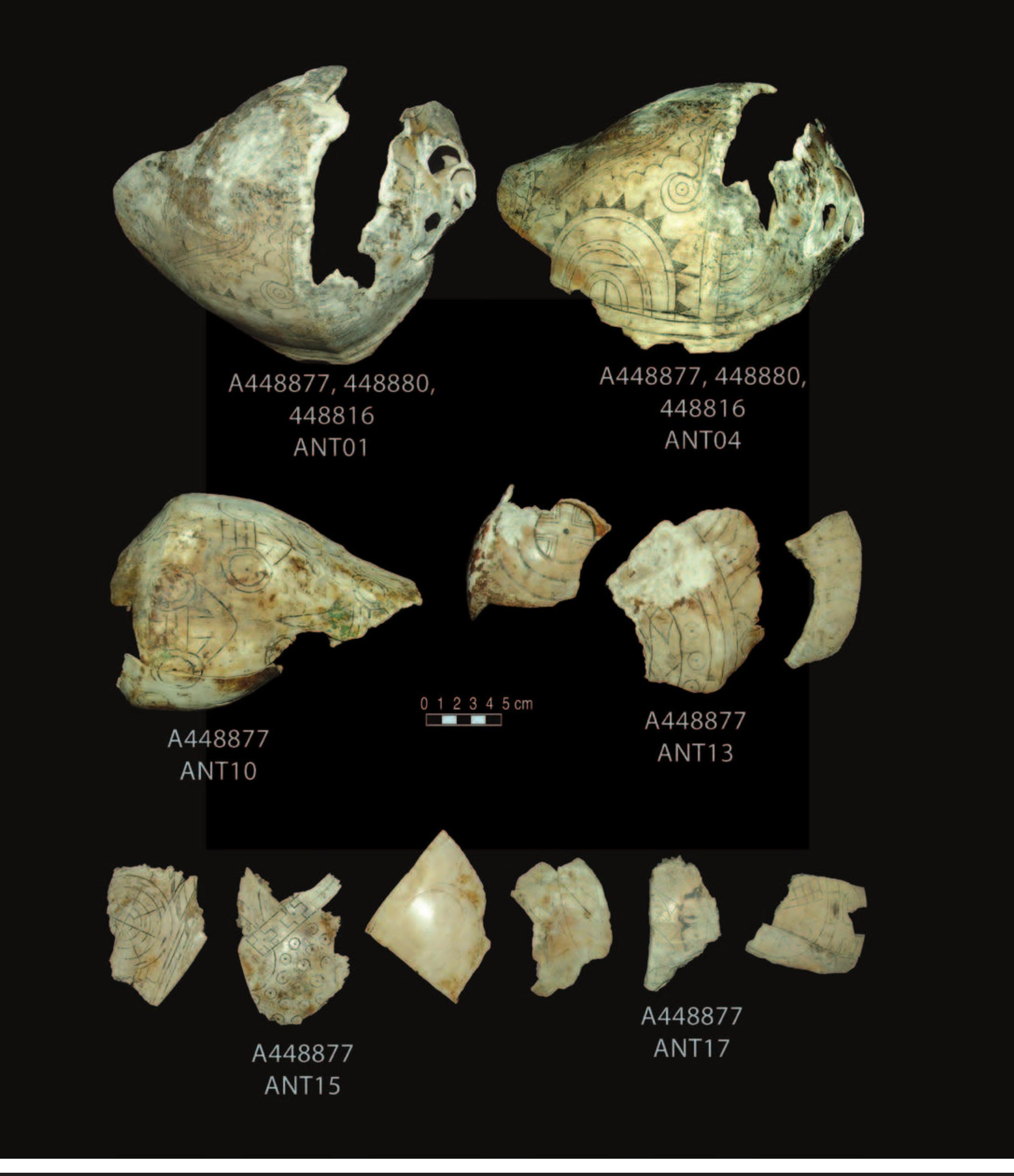 PLATE 3. Row 1: 448877, 448880, and 448816, fragments in two views. Row 2: 448877, left, [s07], Craig B cup with bilobed arrows motif; right (cluster of three), [s11], [s05], and [s03], sun circles and snake motifs. Row 3: 448877, from left, [s04] Braden A cup with concentric circles (34.5); [s05] Craig B with snake man theme (222Da); [s02] unclassified (A2); [s03] Braden (B2C); and two snake fragments. 