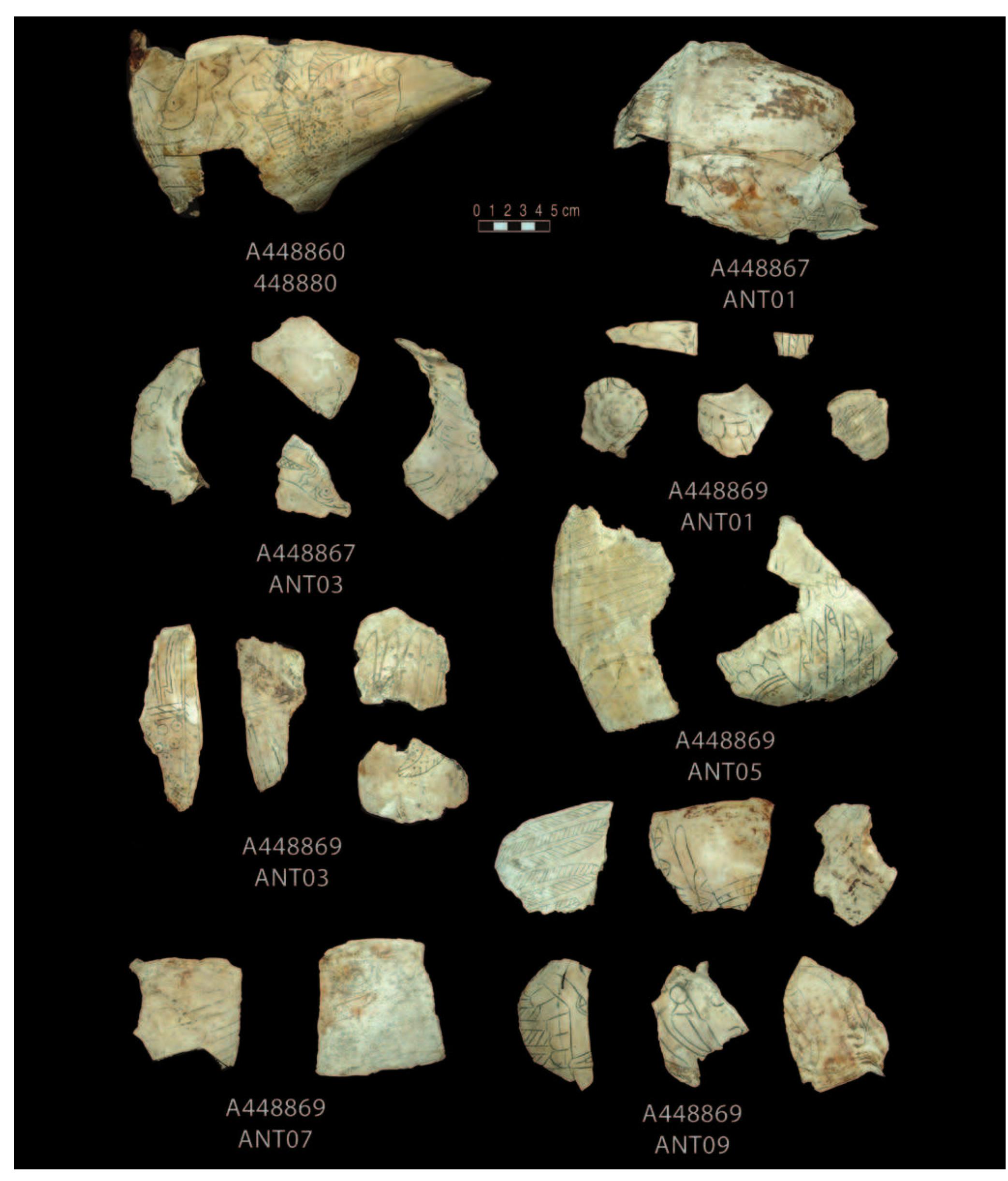 PLATE 4. Row 1: 448860 with refits from 448880, Braden A with human heads and bilobed arrows (12); 448867[s03], unclassified cup with snake, forked eye, and circles motifs. Row 2: 448867 (4 fragments), Craig B and unclassified snake and bird themes; 448869 (5 fragments), Craig style wing motifs. Row 3: 448869, left (2 fragments), [s03], Craig B wing motifs; center (3 fragments), Craig feather and plume motifs; far right, [s02], Craig A feathers and barred oval. Row 4: 448869, far left, [s01]; 7 fragments to right, Craig feather and plume motifs. 