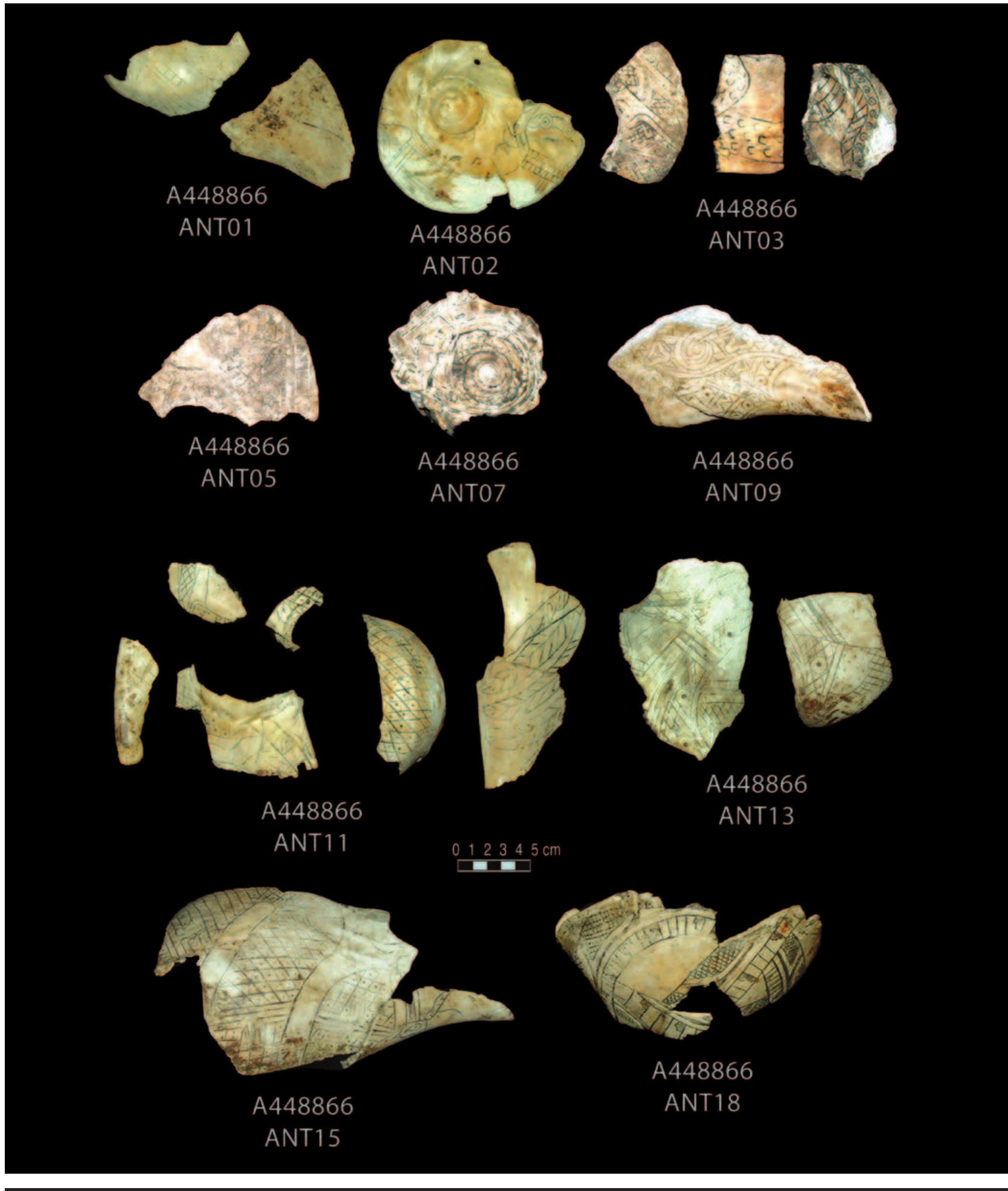 PLATE 5. 448866. Row 1: left, 2 fragments; center, apical view of Craig B fragment with snake (241A); right, 3 fragments, center of which is [s05] Craig (218Aa). Row 2: left, fragment; center, [s01], apex; right, [s06], Braden A (8Aa). Row 3: left, 5 fragments with cross-hatching; center, feather motif; right (2 fragments), [s10], Braden A. Row 4: left, [s11], Craig B cup (242); right, [s12], Braden A Amphisbaena (28). 
