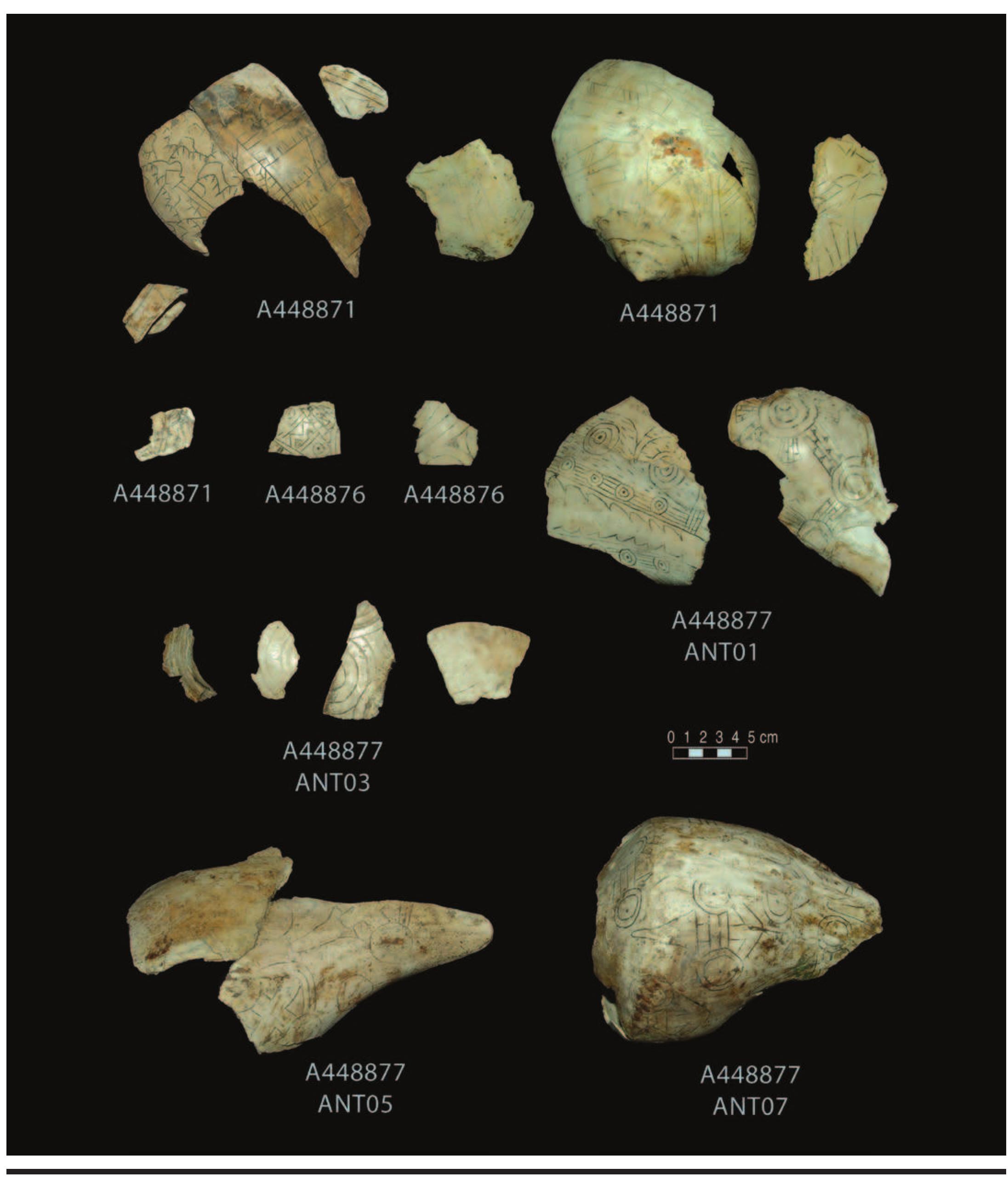 PLATE 7. Row 1: 448871, left, [s01] (4 fragments), Craig cup with bison; center, [s03] (2 fragments), Braden A*; right, [s02] (2 fragments), Braden B. Row 2: 448871; 448876 (2 fragments); 448877 (2 fragments). Row 3: 448877[s04] (4 fragments), concentric circle motif. Row 4: 448877, left, [s08], Craig B cup with bilobed arrows; right, [s07], Craig B cup. 