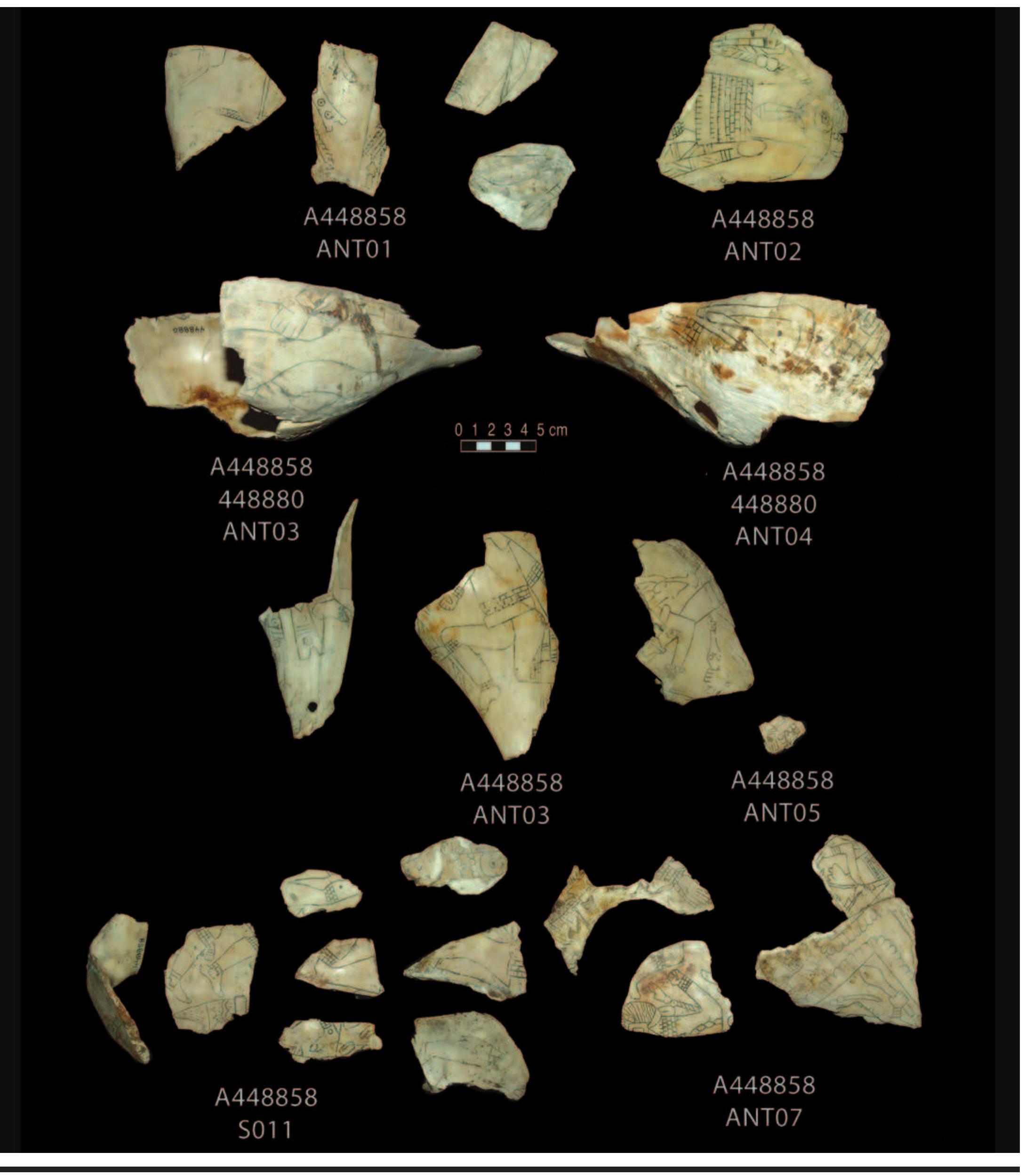 LATE 9. 448858. Row 1: left cluster, same as Plate 6, top right; right, [s03], human male figure*. Row 2: with 448880, 2 refitted fragment: 10own in two views. Row 3: left, distal fragment (278b); center, Craig B (195a); right, [s04], Braden A atlatl; far right, small fragment. Rov left, [s11], 8 fragments showing human legs (163E Craig A is second from left); right, 4 fragments (2 refitted) including human figures anc amed figures. 