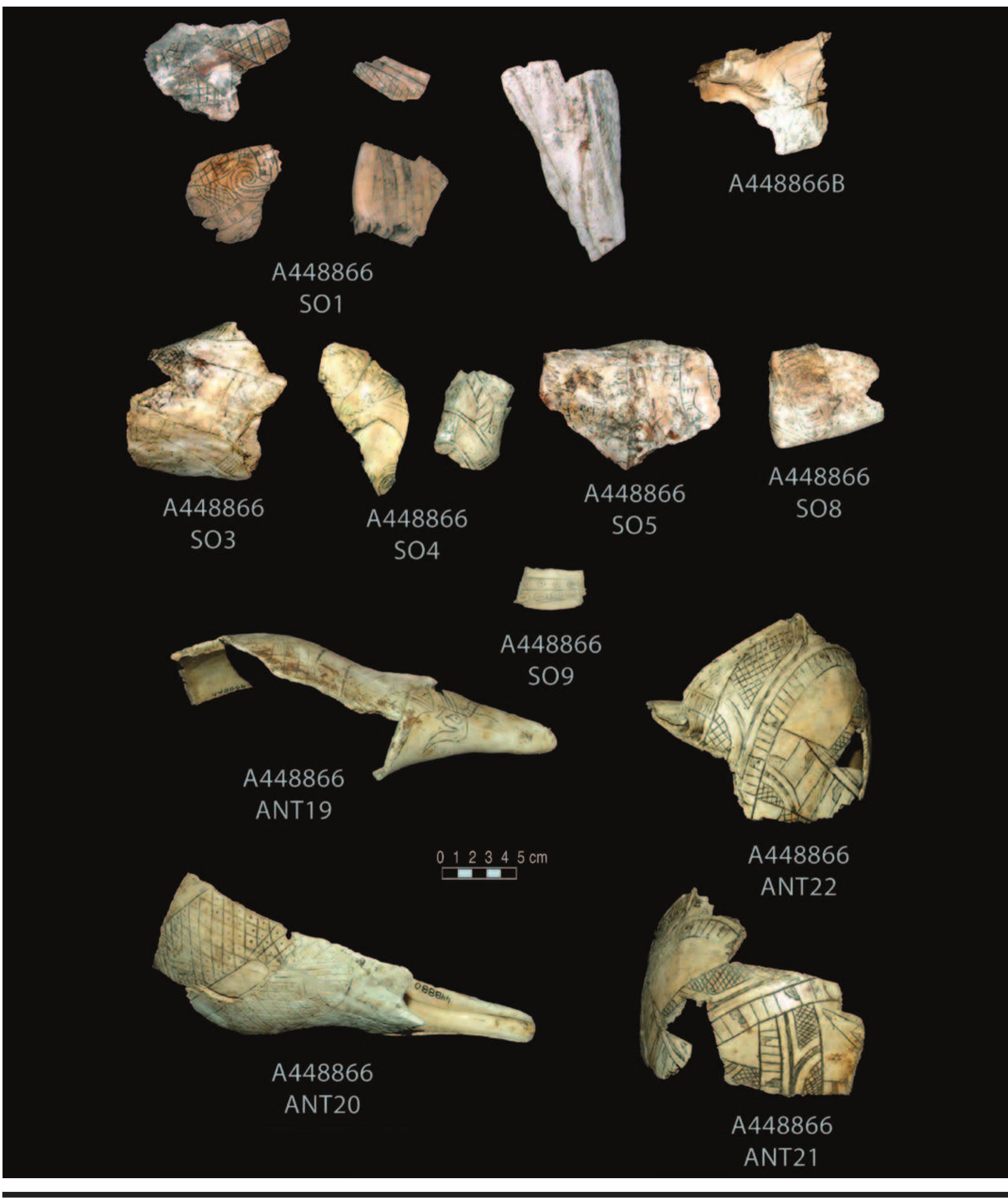 PLATE 10. 448866. Row 1: left, [s01], 4 fragments (lower left is 96.13); right, [s09], 2 fragments, Craig (198Hb). Row 2: from left, [s03]; [s04], 2 fragments; [s05], Craig (224b); [s08], Braden (52A). Row 3: center, [s09], small fragment Craig piasa. Rows 4, 5: upper and lower left, [s19], cup with spider and rattlesnake, Craig B (242); upper and lower right, [s12], Braden A cup (28A). 
