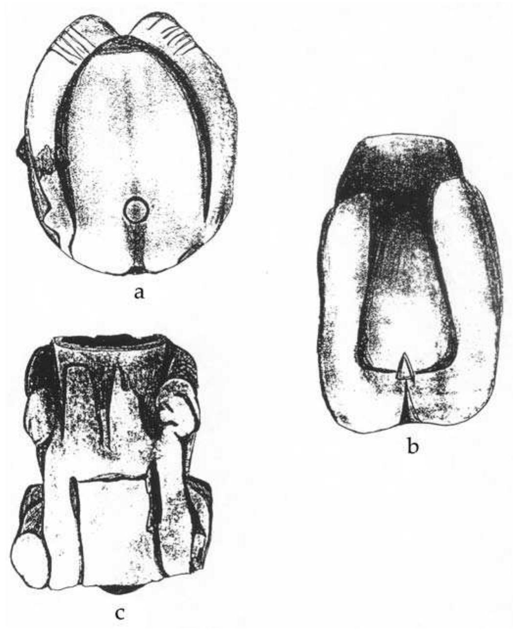 FIGURE 8.7. Effigy pipe bases showing design detail: a, 448665; b, 448663; c, 448667. 