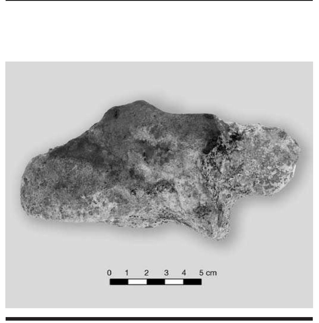 FIGURE 8.8. Feline effigy pipe (448666). 