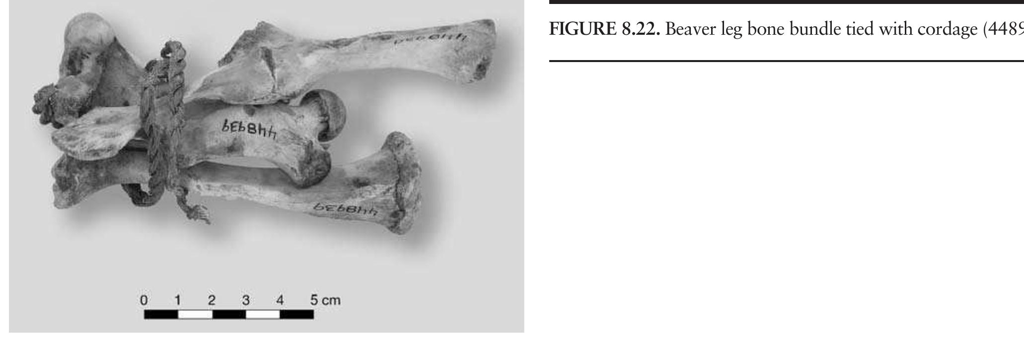 TABLE 8.6. Frequency and characteristics of bone artifacts. A dash (-) indicates data are nonexistent or not available. 