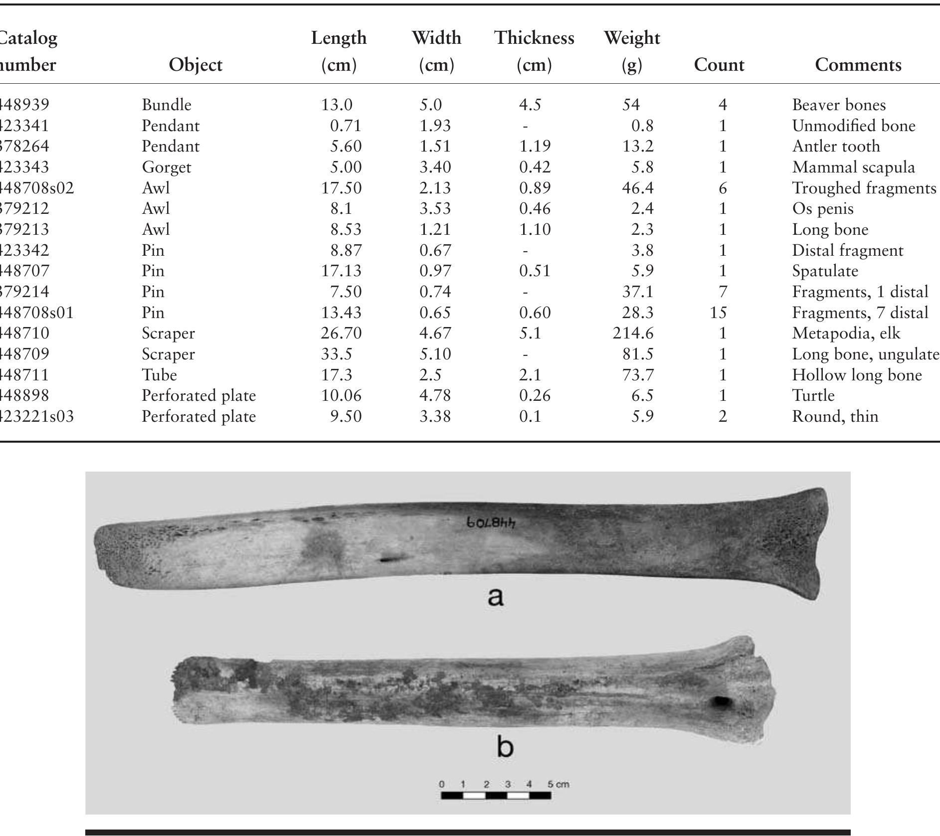 FIGURE 8.23. Bone spatulas: a, ungulate long bone (448709); b, elk bone metapodia spatula witl toothed tip (448710). 