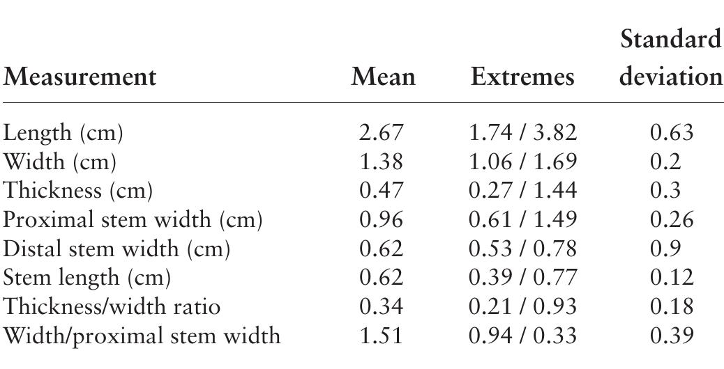 TABLE 6.6. Scallorn points measurement summary (7 = 12). 