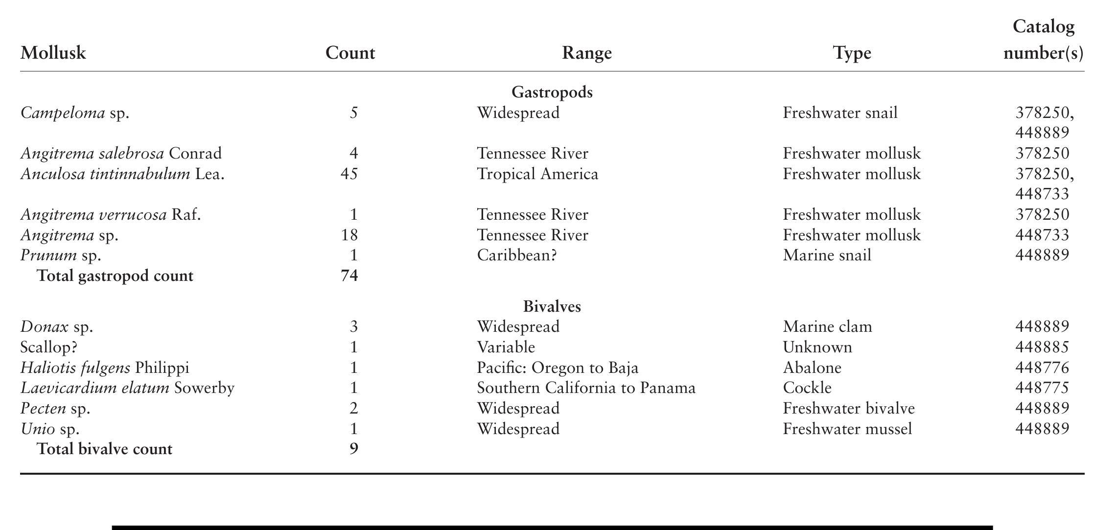 TABLE 7.5. Variety and range of gastropod and bivalve shells. 