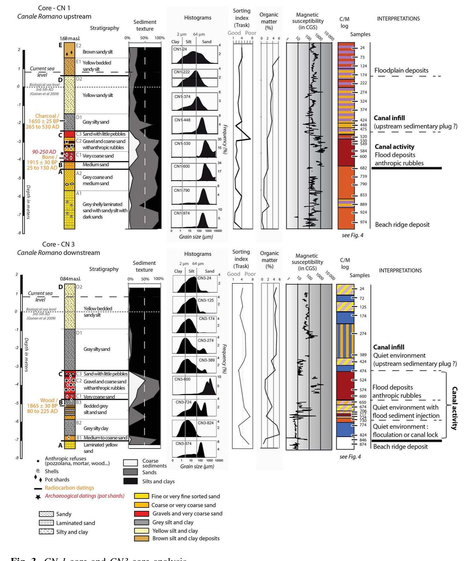 Unit B (—6.95 to —4.76 m r.s.l.) The underlying deposits of sub-unit (B1) are mostly medium to coarse sands (81 %) with a high proportion of micro-sherds of pottery in the sandy fraction. The organic matter rises from 0.6 % in unit A to 1.4 % in unit B. Sub- unit (B2) corresponds to a thick layer (1 m) composed of 74 % of silt and 25 % of clay. No microfauna have been found nor any macrofauna. The organic content increases up to 5.6 %. The upper part of sub-unit (B3) consists of silty clay (88 %) with frequent intercalated sandy levels. Coarser fraction (>2 mm) is characterized by ceramics  content. The age of this deposit is attributed to the Imperial Roman times by radiocarbon dating (wood—1,865 + 25 BP, cal. at 80-225 ap, Lyon-8077).  