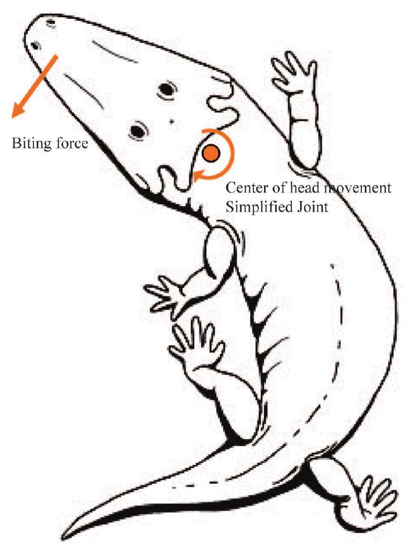 Simplification of the center of head move- ment as a joint