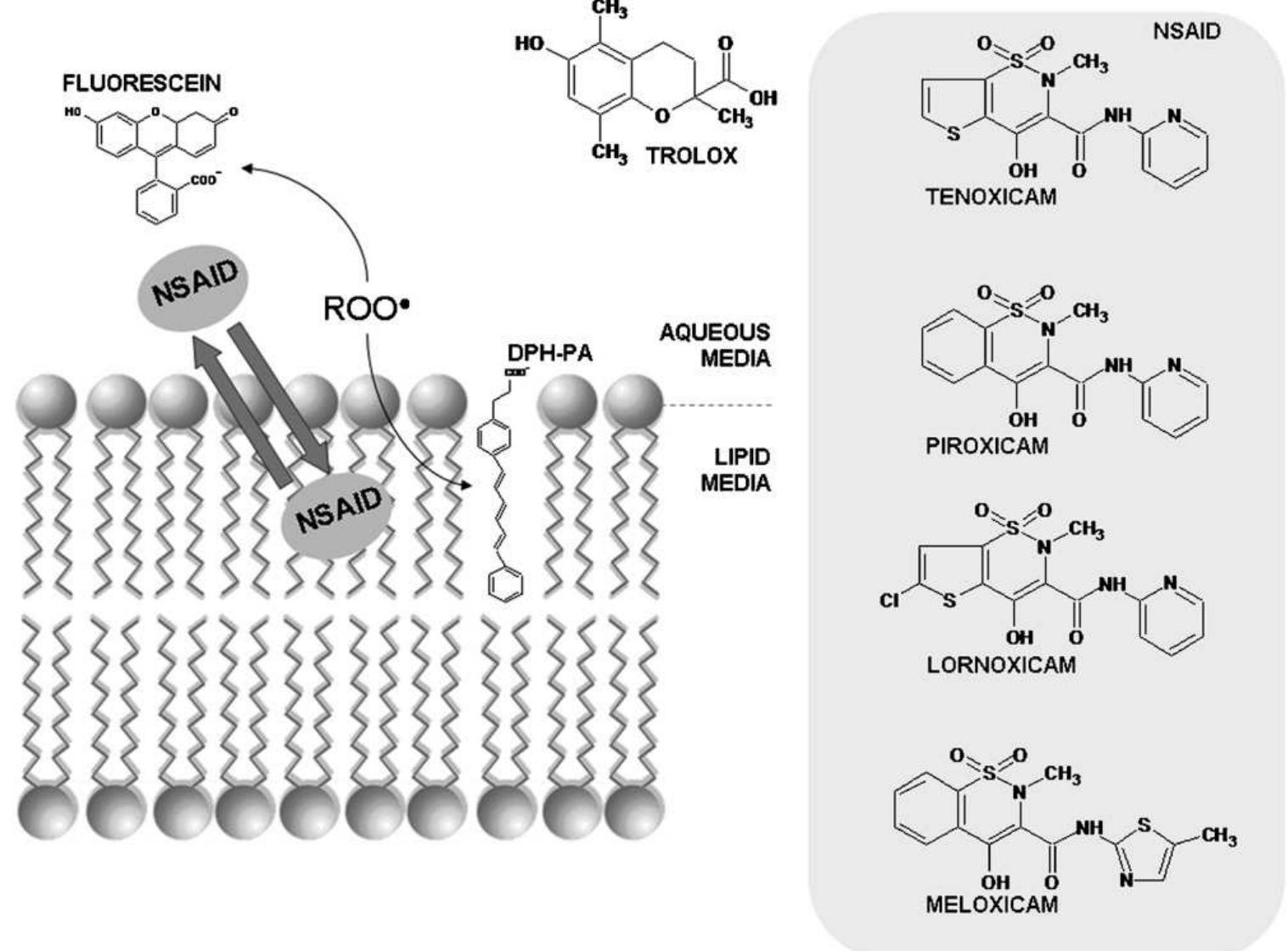 Schematic illustration of the principle of the assays used