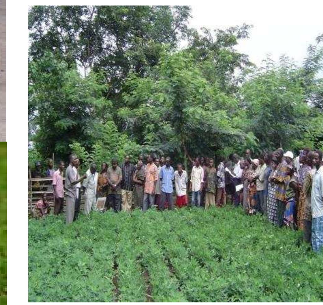 Good Posture For Rural Development (PDF) AGRICULTURAL EXTENSION AND RURAL DEVELOPMENT HANDOUT