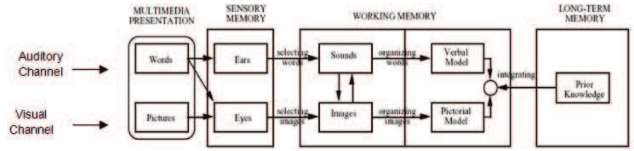 Visual representation of the cognitive theory of multimedia