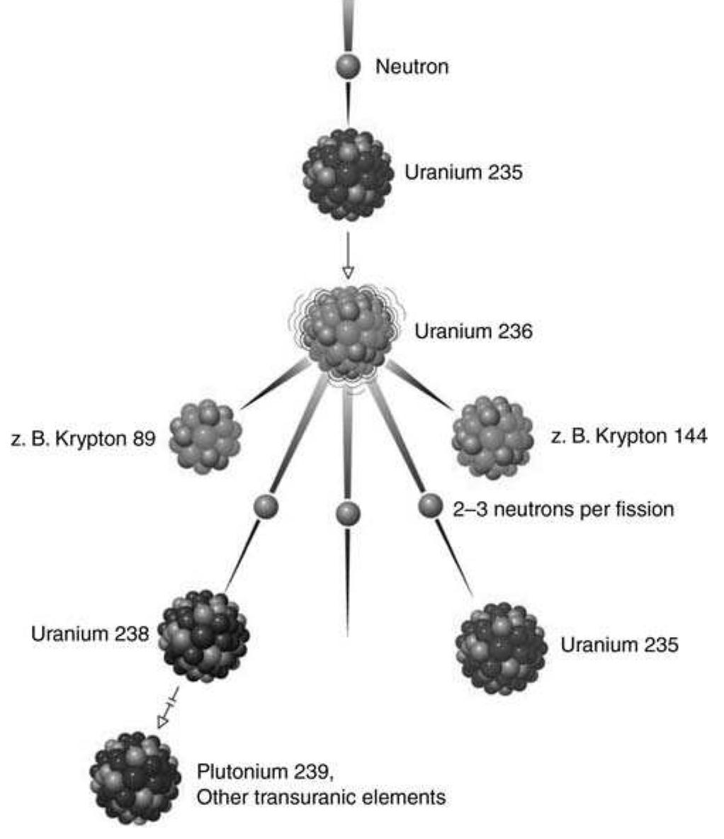 Figure 9 - Design and Construction of Nuclear Power Plants