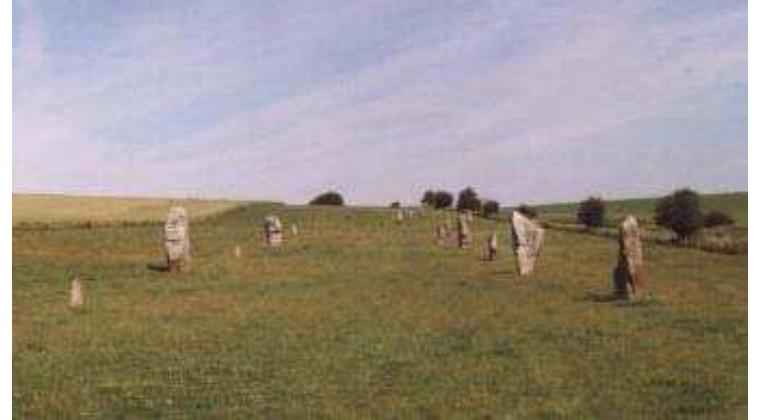 The Council of British Druid Orders believes it would be beautiful to rebury the human remains of ‘Charlie’, a 3 year old child currently displayed in the Alexander Keiller Museum, Avebury, along with the partial skeletal remains of 7 ancestors taken from the Kennet Avenue, Avebury. The Council feels, very strongly, that reburial is the most loving and respectful act for the sacred relics of our ancestral remains and is both morally desirable and spiritually important. We invite you all to be part of this process.