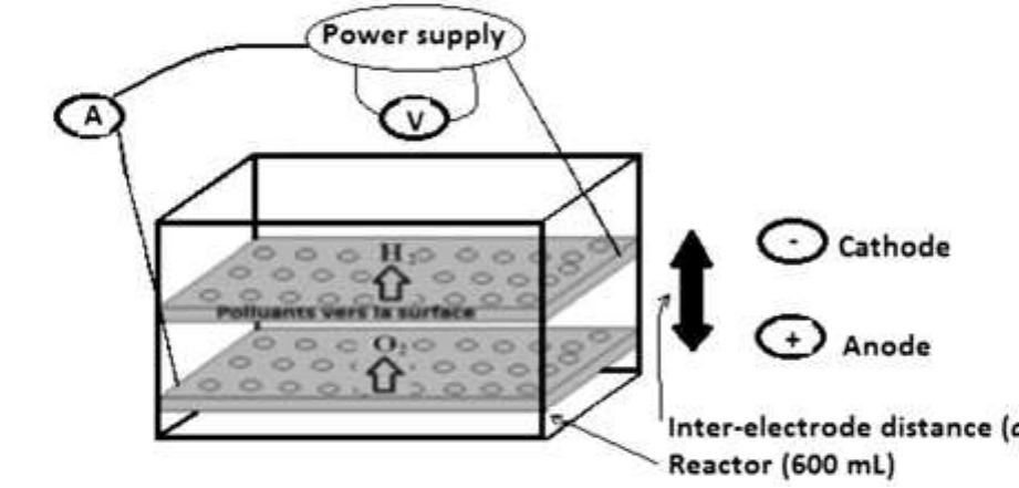 Fig. 1. Diagram of the EF setup. 