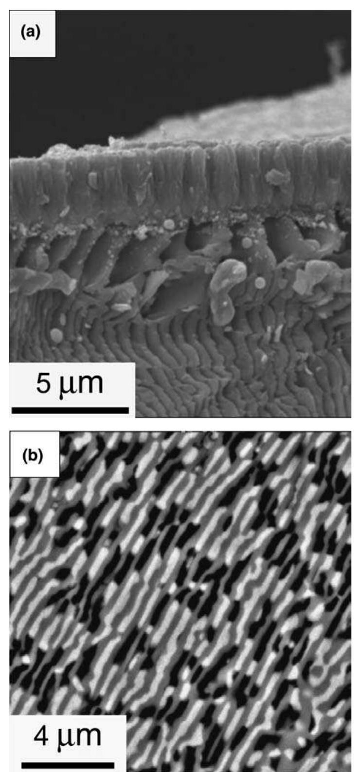 5. (a) sem micrograph of the fracture cross-section of a
