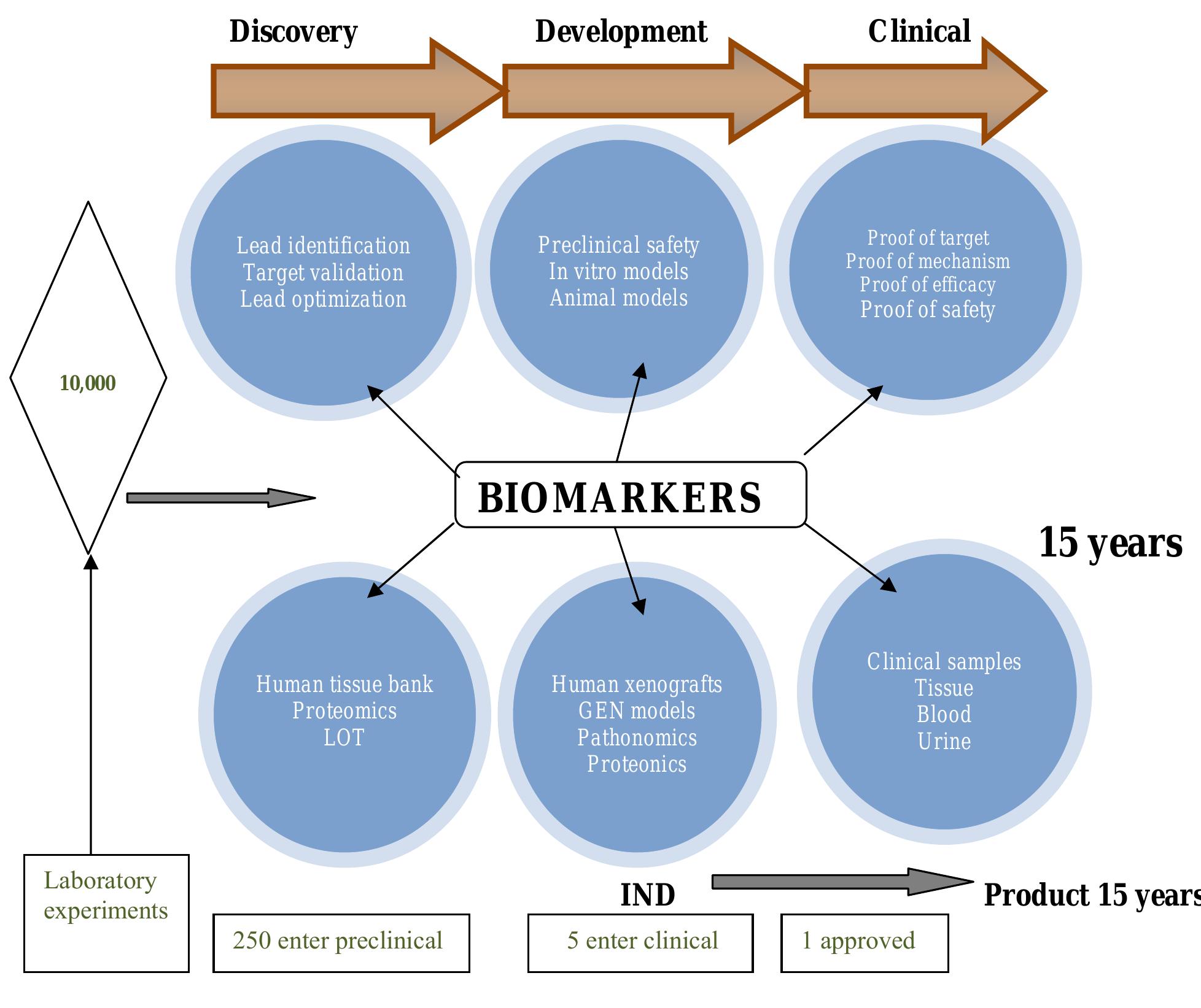 (PDF) Biomarkers in Drug Discovery and Development: From Target ...