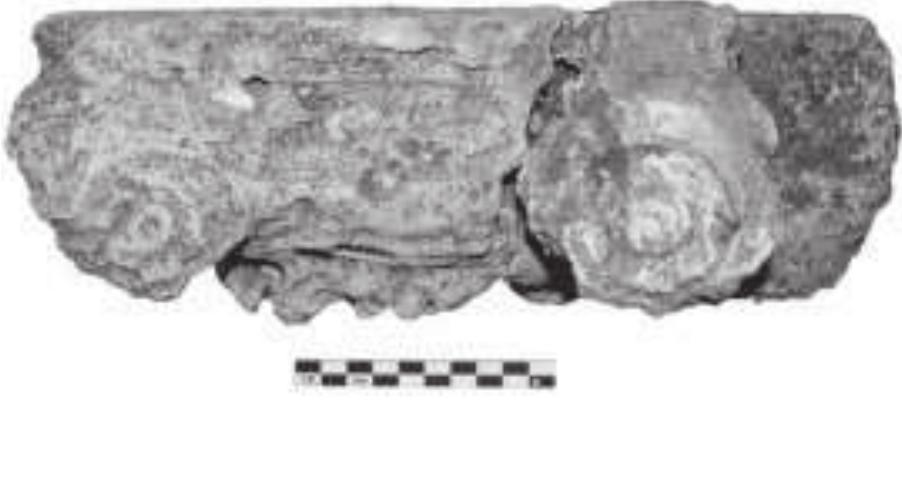 Fig. 5. Theatre of ancient Kalydon, corner capital from the proskenion.  Pottery and Other Finds 