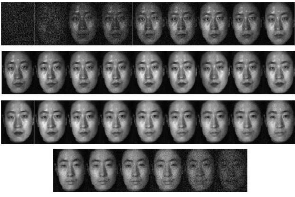 Spectral Face Figure 7 - from Multimodal face recognition using