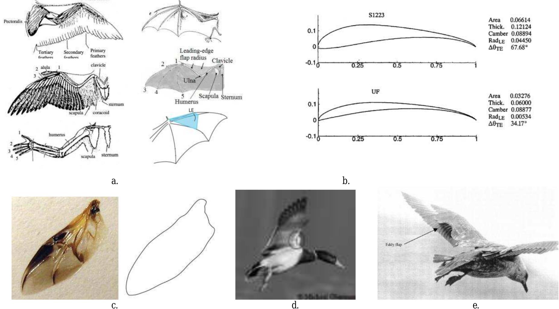 (PDF) Numerical Modelling, Simulation and Visualization of Flapping ...