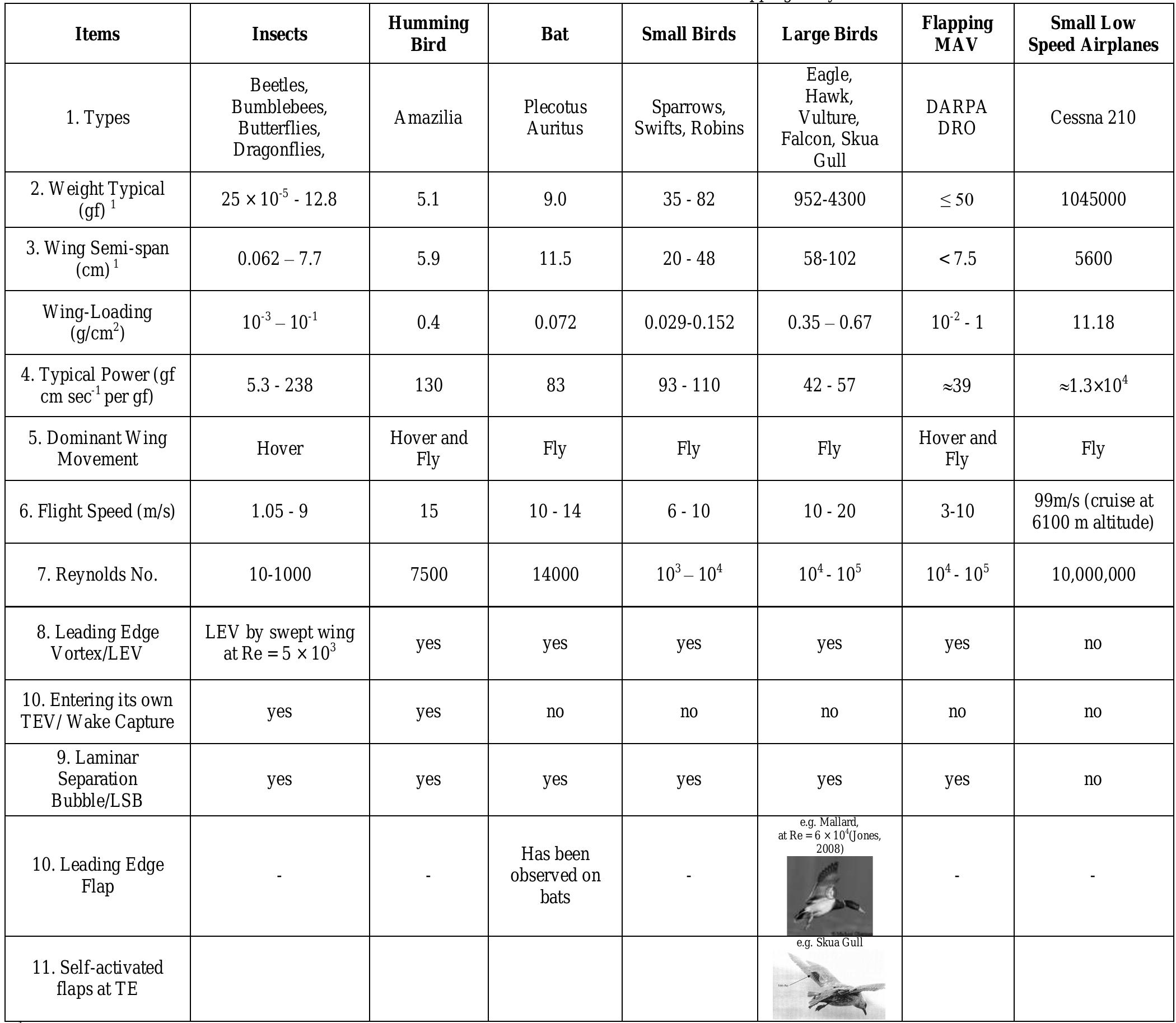 (PDF) Numerical Modelling, Simulation and Visualization of Flapping ...