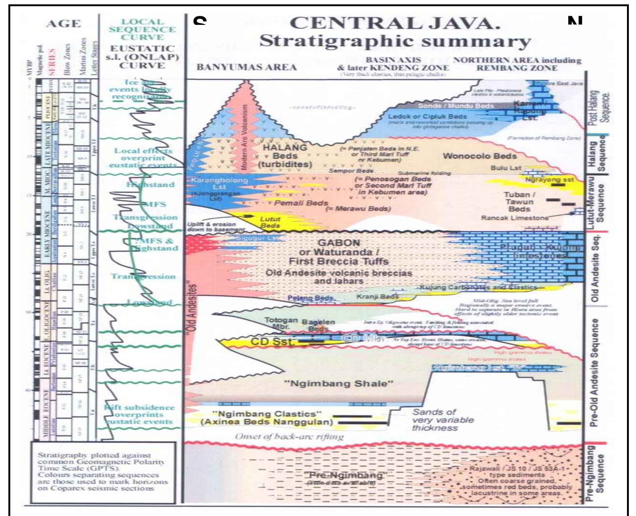 Figure 12 - OLIGO-MIOCENE CARBONATES OF JAVA : TECTONIC