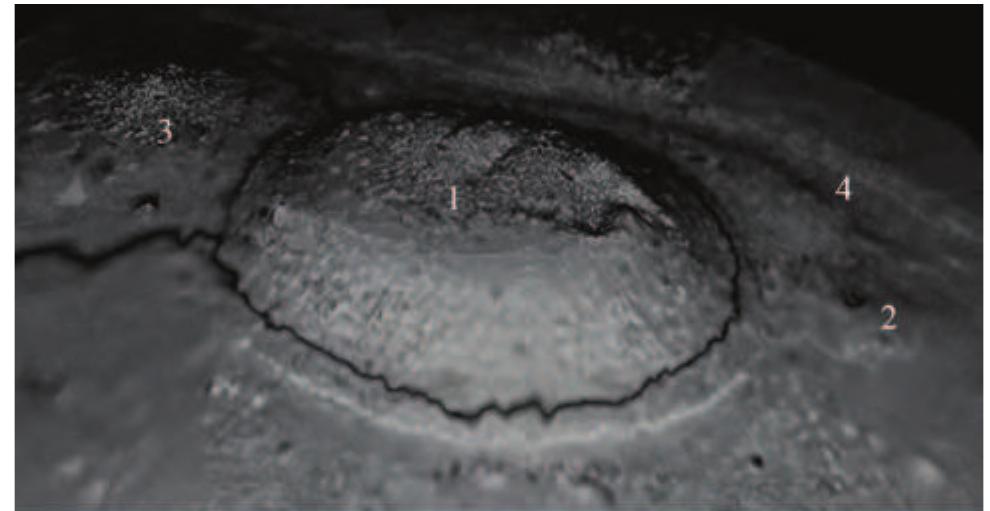 Figure 11. Screen capture from the 3D-laser-scan rendering of the entire Stoenesti- Magura Tangdru area: the large tell (1), the small tell (2), the terrace of the C4lnistea (3), and the active meander (4).  Figure 10. A digitally-processed aerial photograph. The arrows indicate the paths of the two boundary ditches). 