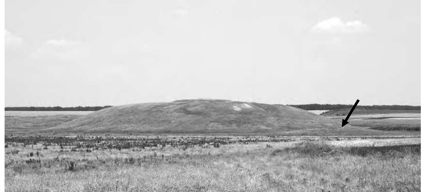 Figure /2. Stoenesti- Magura Tangdru. Snapshot from the south (the small tell is visible in the foreground, to the centre-right of the picture, marked by the arrow). 