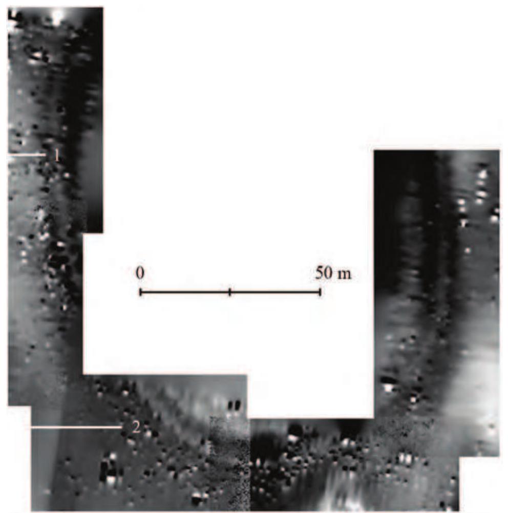 Figure 17. Another map of the magnetometric scanning of the large tell from Stoenesti- Magura Tangdru.  Figure 16. Stoenesti- Magura Tangdru. Magnetometric map superimposed on the orthophotoplan. 