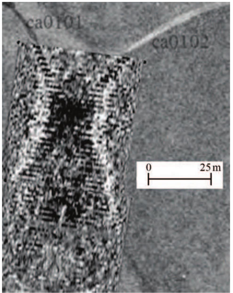 Figure 19. GPR scanning the north-west area of the large tell from Stoenesti- Magura Tangdru.  For investigating the complex from Stoenesti-  Magura Tangdru we emp X3M GPR with a 250MH  oyed a MALA RAMAC z antenna (providing the  optimum ratio between the depth of scan and the  resolution) set for a dep avoid the potential regis diverging lengths of scan  trolley. The measuremen  h of maximum 3m. To  ration errors caused by lines, we used the GPR Ss were taken in zigzag  mode, on seven grids (55x60m, 50x50m, 35X35m, 50X70m, 60x65m, 80x35m, and 30X33m). The resulting profiles were processed in Rad Explorer (the dedicated software package of the GPR system) and visualised in Easy 3D for different depths (-0.50m; -0.75m; -1m; -1.25m). 