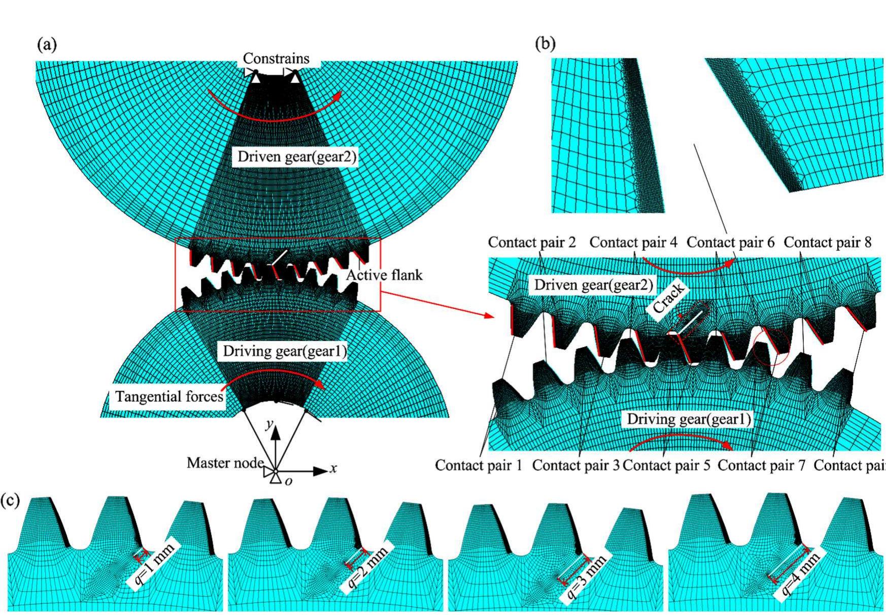 (a) meshing model of gear pair, (b) enlarged view, (c) teeth