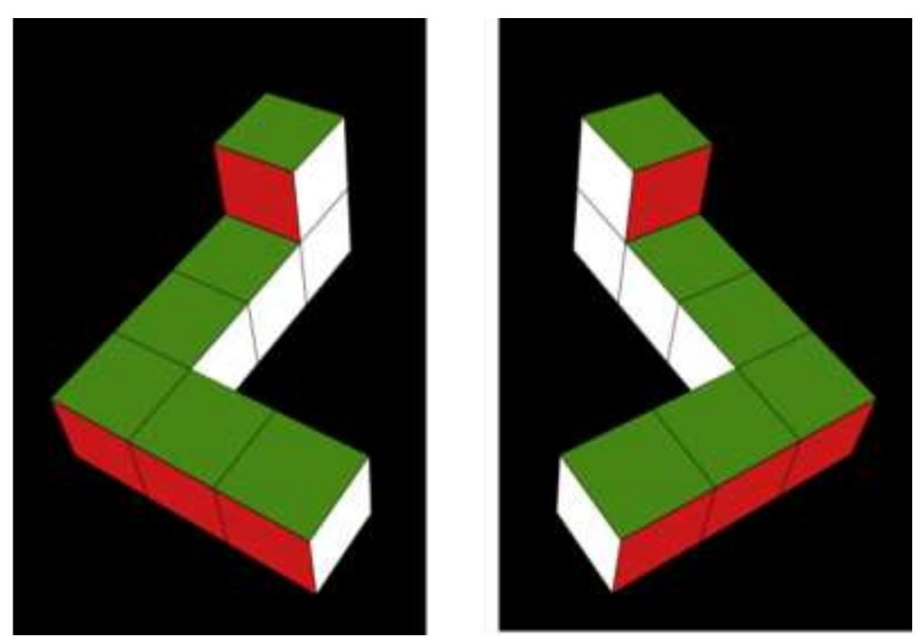 Fig. 1. Shepard-Metzler object (Shepard & Metzler, 1971), which we arbitrarily called the L-object, and its mirror image, the R-object, pic- tured on the left and right, respectively. 