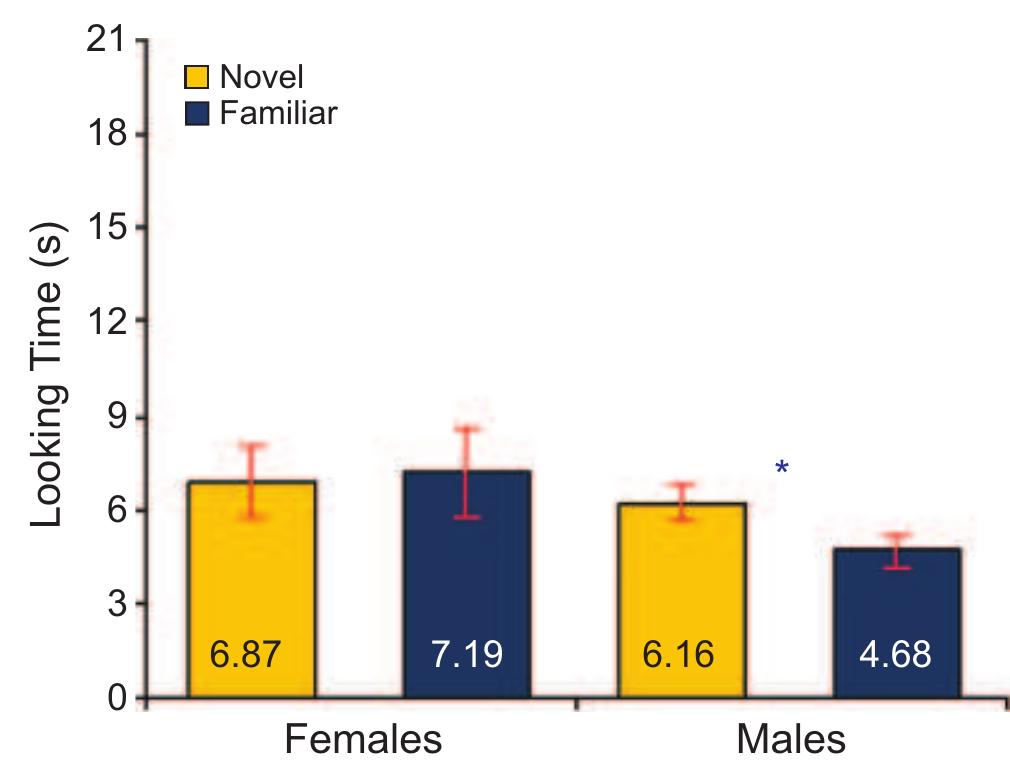 Fig. 2. Five-month-old infants’ mean looking times at novel and familiar stimuli. Error bars indicate standard errors of the means, and an asterisk  indicates statistical significance, p < .001, two-tailed t test. 